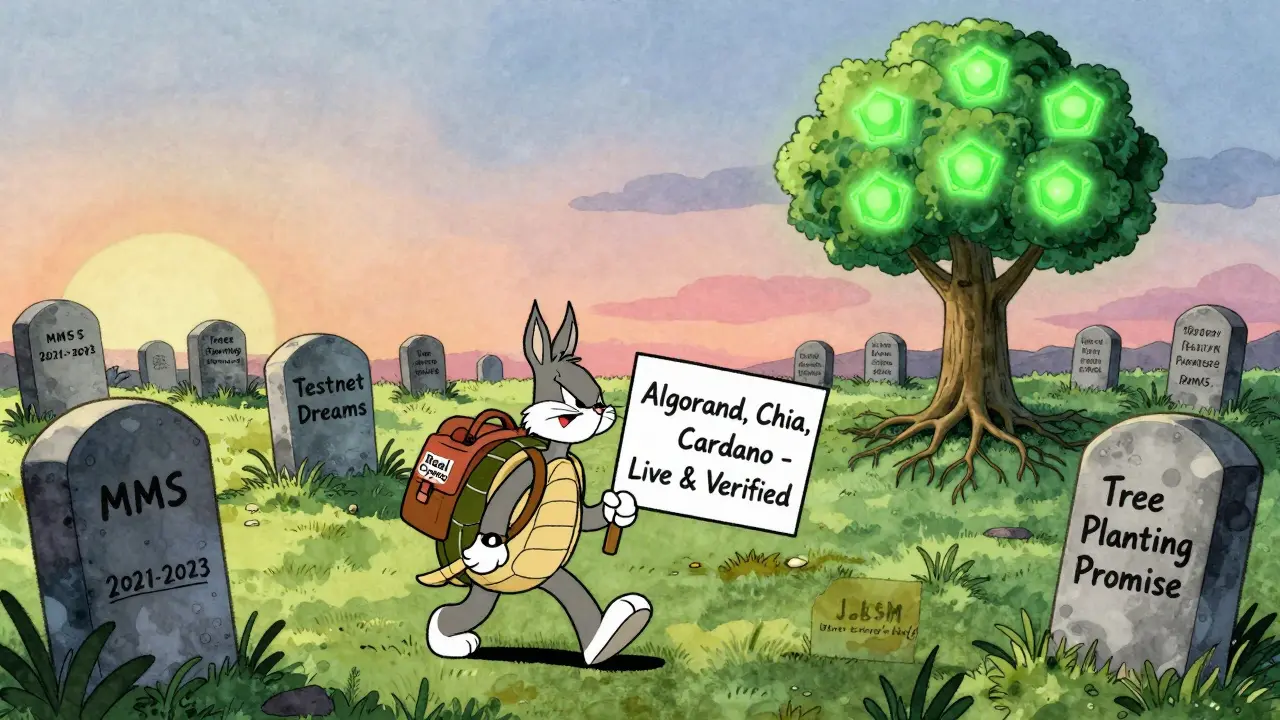 A graveyard of dead crypto projects with one turtle walking toward real eco-friendly blockchains.